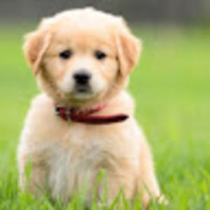 Meet your Posher, Melana